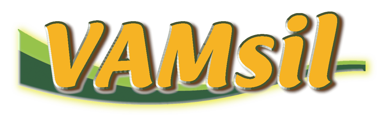 Vamsil